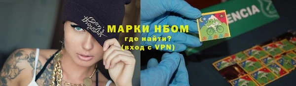 индика Карталы