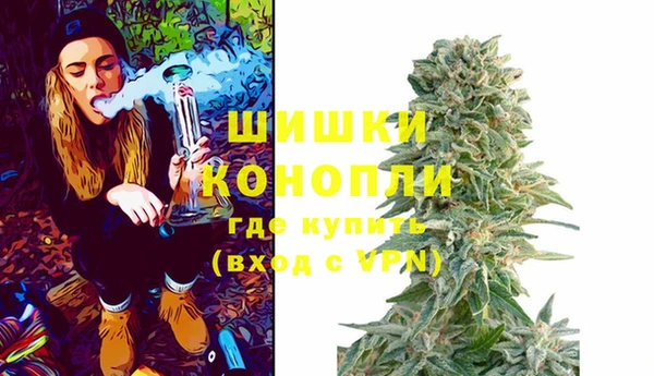индика Карталы