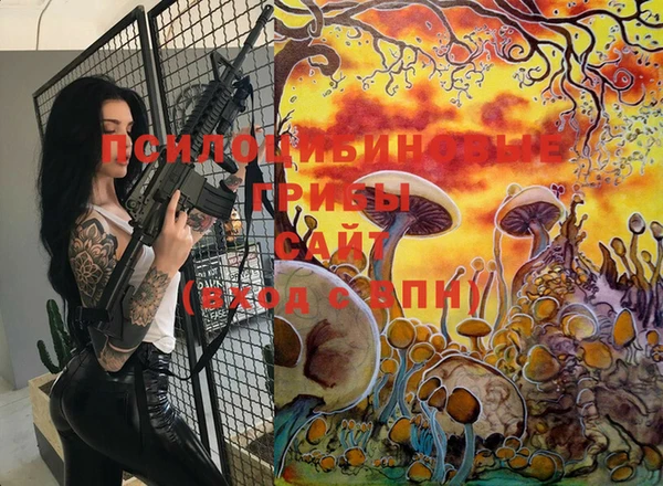 индика Карталы