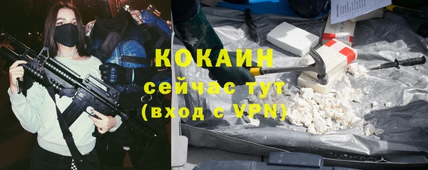 индика Карталы