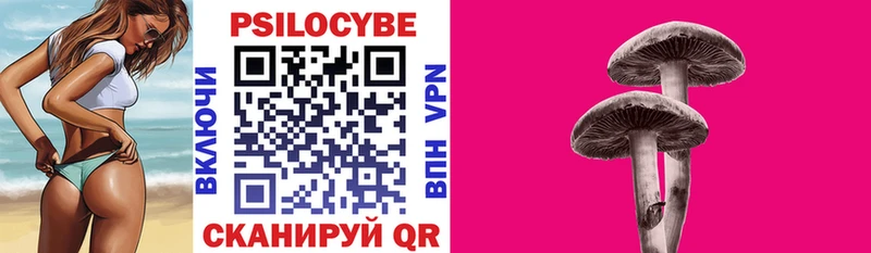 Галлюциногенные грибы Psilocybe  Купить закладки  Нововоронеж 