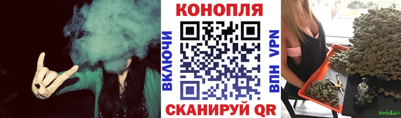 Бошки Шишки тримм Нововоронеж